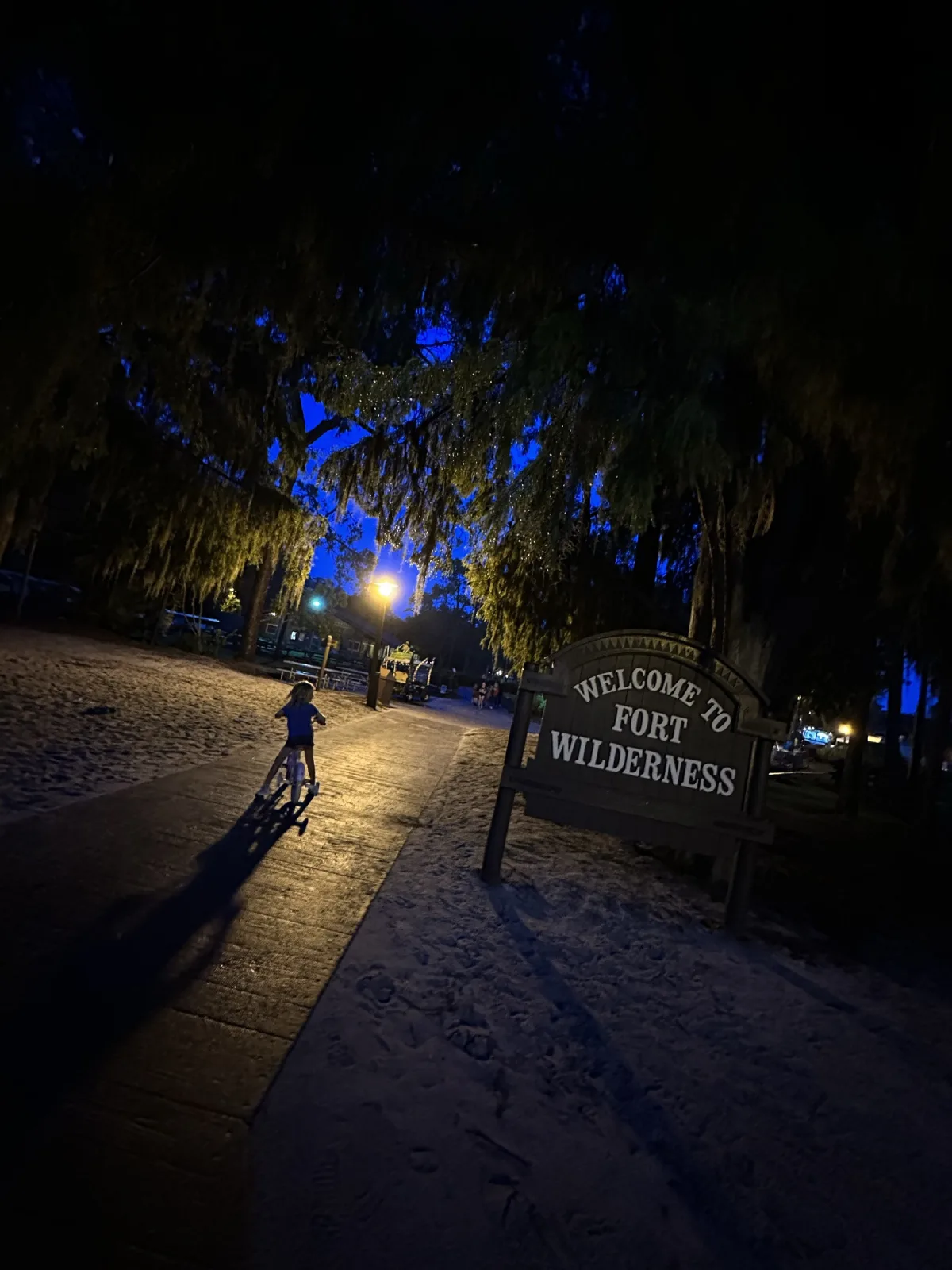 Arriving after dark at the Welcome to Fort Wilderness sign — Spanish moss draping the live oaks, kids biking the lit paths back to the campsite.
