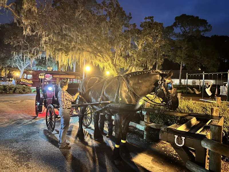 A handler hitching the draft horse at Pioneer Hall — the Tri-Circle-D evening carriage rides leave from the marina loop.