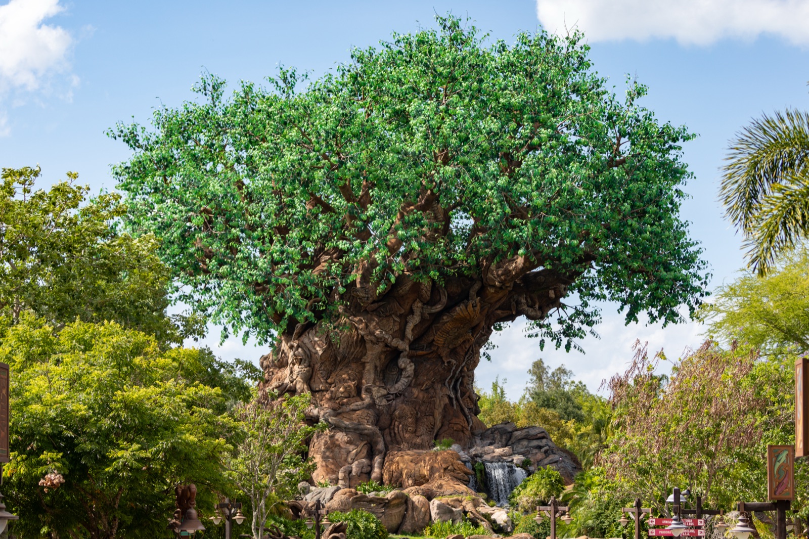 The Tree of Life — Animal Kingdom's icon, with 325 animal carvings on a 14-story trunk.
